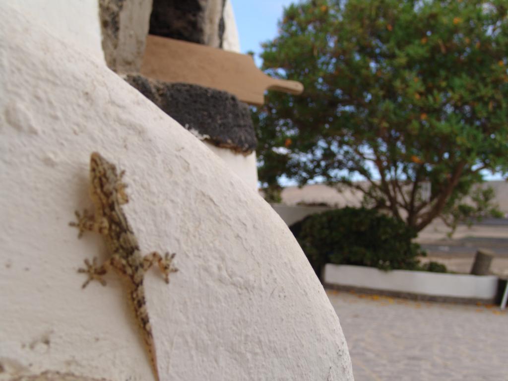 Hostal Kalindi Lanzarote Costa Teguise Exterior foto